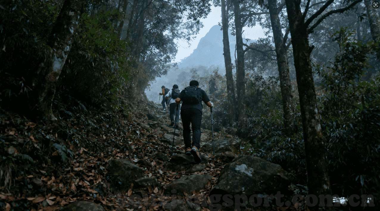 世界杯单场比分-世界杯单场比分，激情与瞬间的永恒