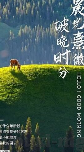 足球比分003-足球比分003背后的故事，一场跌宕起伏的绿茵对决